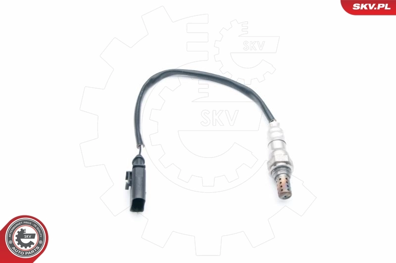 Oxygen Sensor